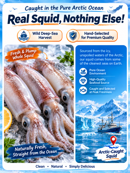 Arctic Deep-Sea Squid Ready-to-Eat Hand-Torn Squid Strips-9SLL
